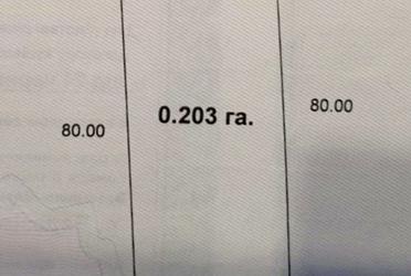 1774670575822197