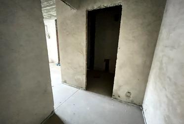 1835755688569229