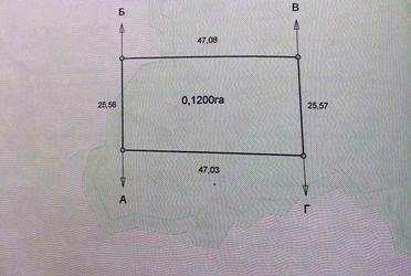 1809445419054265