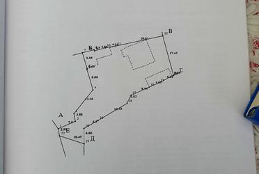 1838355024209556