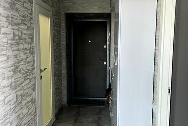 1826384288548569