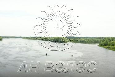 1732696440481603