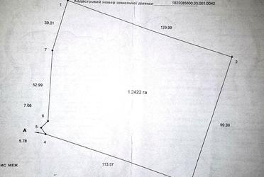 1817406613082672