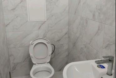 1837205254390725