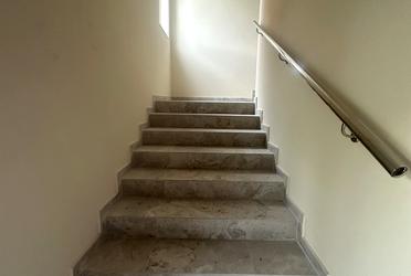 1833260757735818