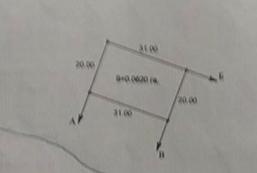 1821689900411833