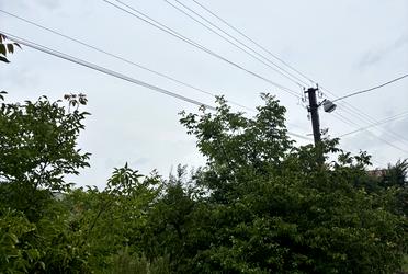 1838187730865933