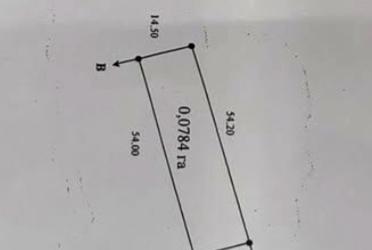 1826566755012939