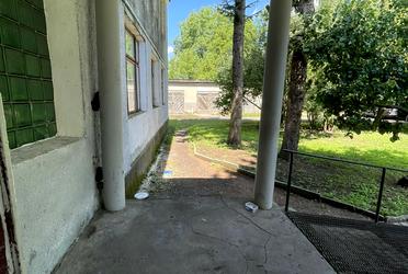 1838259238807954