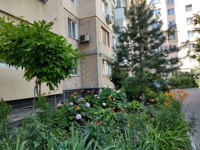 квартира за адресою Педагогічна вул., 19