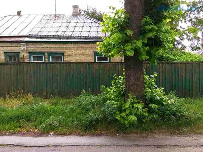 участок по адресу Казацкая ул., 33