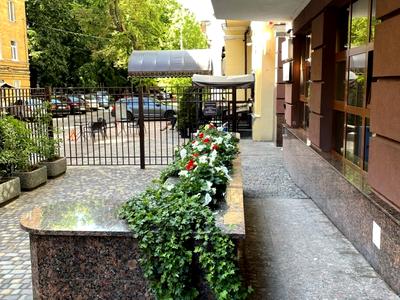 квартира по адресу Пирогова ул., 2/37б