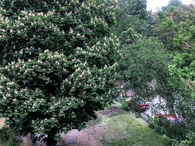 квартира за адресою Стрітенська вул., 4