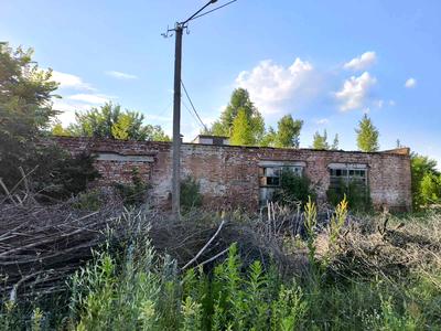 комерційна за адресою Репки, 3