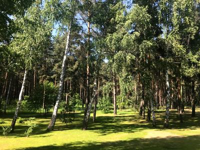 будинок за адресою Петра Сагайдачного, 50