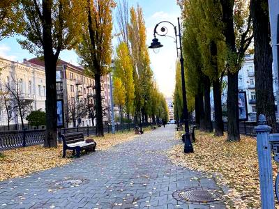 квартира по адресу Терещенковская ул., 7/13