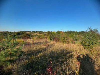 ділянка за адресою Малашівці СТ-Дружба