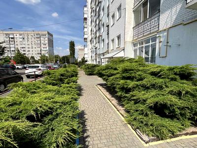 квартира по адресу Архитектора Старова ул., 2/5