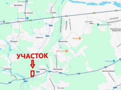 участок по адресу с. Гореничи, 