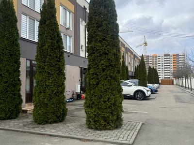 квартира за адресою Стрітенська вул., 25