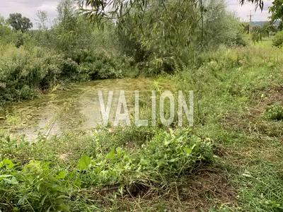 участок по адресу с. Белогородка, Гагарина ул.