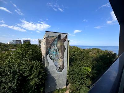 квартира за адресою Французький бульв., 85/5