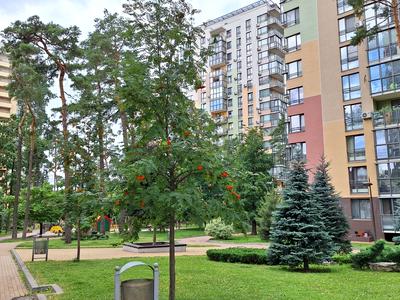 квартира за адресою Анатолія Петрицького вул., 21-А