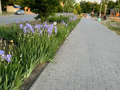 квартира по адресу Степана Рудницького ул. (Шолохова), 19