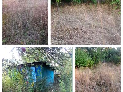 ділянка за адресою Соколовський масив
