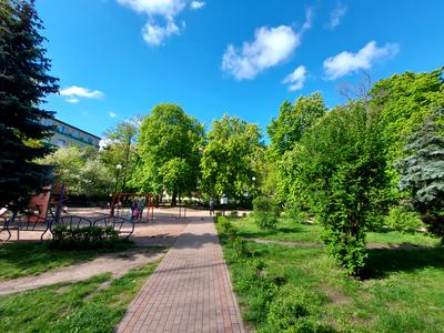 квартира за адресою Преображенська вул. (Івана Клименка), 21
