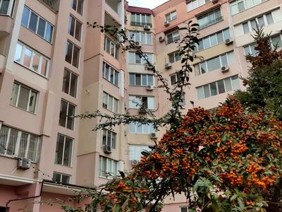 квартира за адресою Новосельського вул., 69/71
