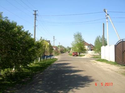 комерційна за адресою Репки, 3