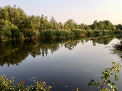 дом по адресу Садовая ул.