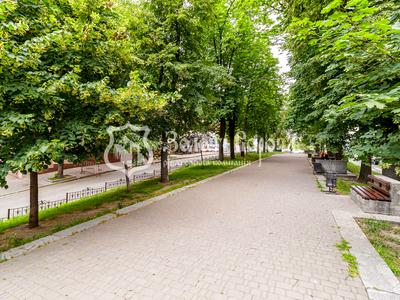 квартира за адресою Костельна вул., 6