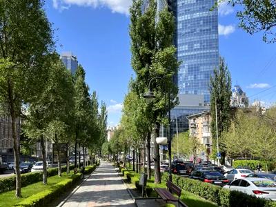 квартира за адресою Київ, Лесі Українки бульв., 22