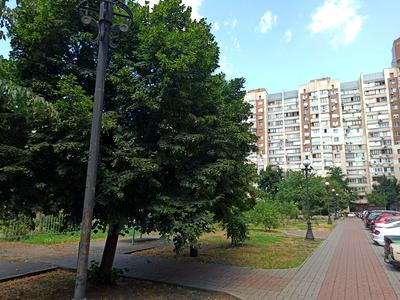 квартира по адресу Владимира Ивасюка просп. (Героїв Сталінграду), 20-А