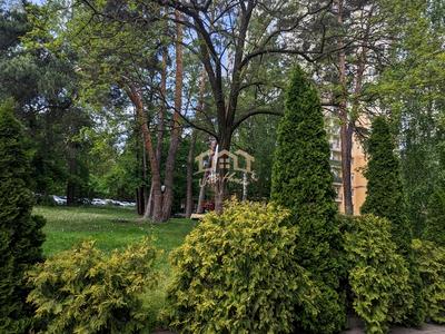 квартира за адресою Валерія Лобановського вул., 11