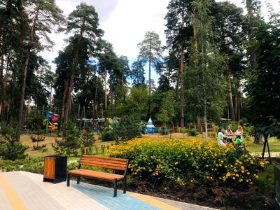 квартира по адресу Армянская ул., 6