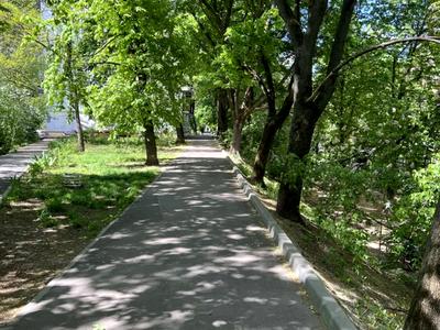квартира за адресою Київ, Лесі Українки бульв., 22
