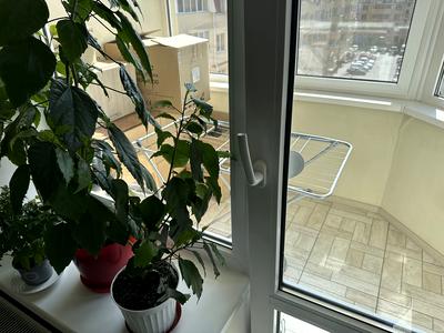 квартира за адресою Бишівська вул., 7