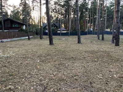 участок по адресу с. Романков, Сосновый Бор ул.