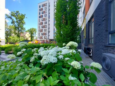 квартира за адресою Павленка вул., 56