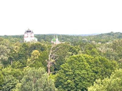 квартира по адресу Метрологическая ул., 107