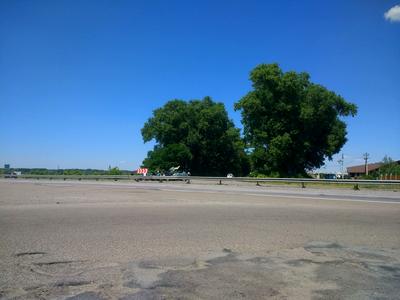 участок по адресу с. Княжичи, Требухівська