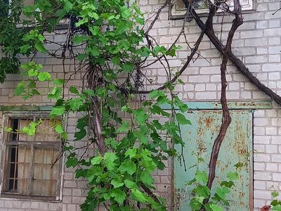 будинок за адресою Василя Сухомлинського вул. (Совхозна)