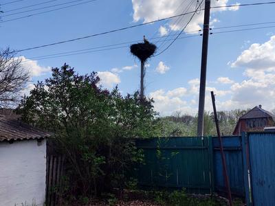 будинок за адресою с. Балаклея, Добросусідська, 22