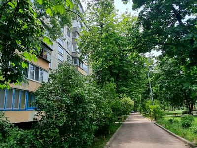 квартира по адресу Энтузиастов ул., 31