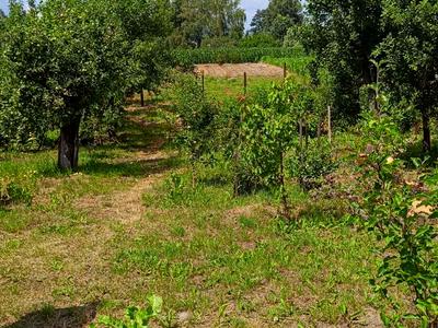 будинок за адресою Шевченка