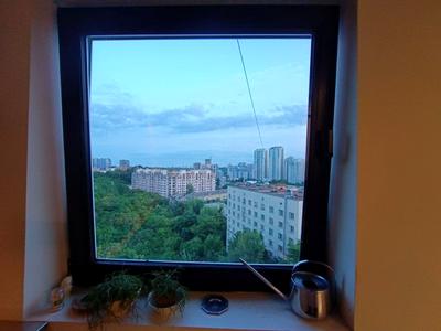 квартира по адресу Профессора Подвысоцкого ул., 16