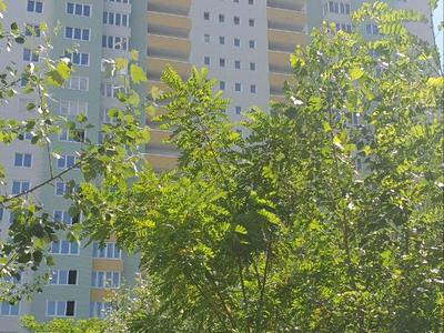 квартира по адресу Бориса Гмыри ул., 22